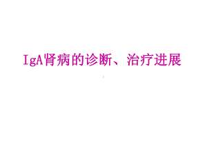 IgA肾病的诊治进展课件.ppt