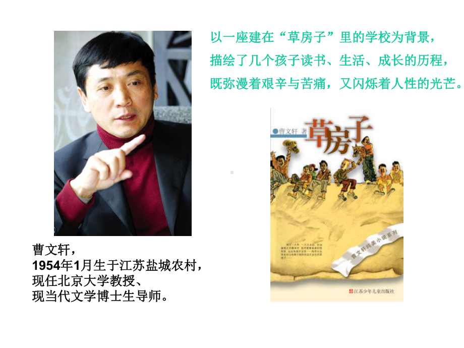 《孤独之旅》公开课教案精品名师课件.ppt_第3页