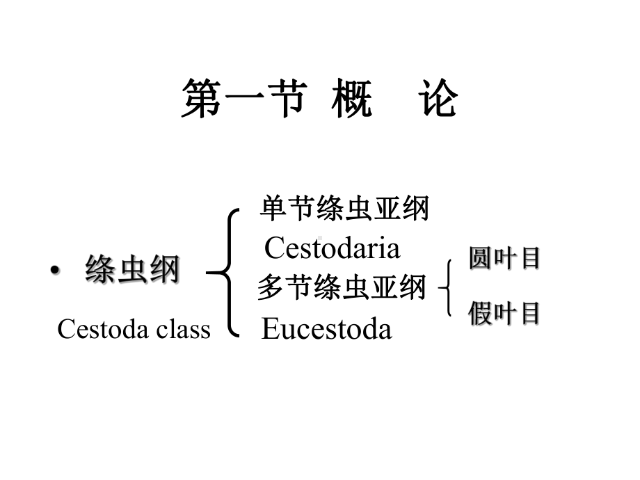 (完整版)第七讲带绦虫课件.ppt_第3页