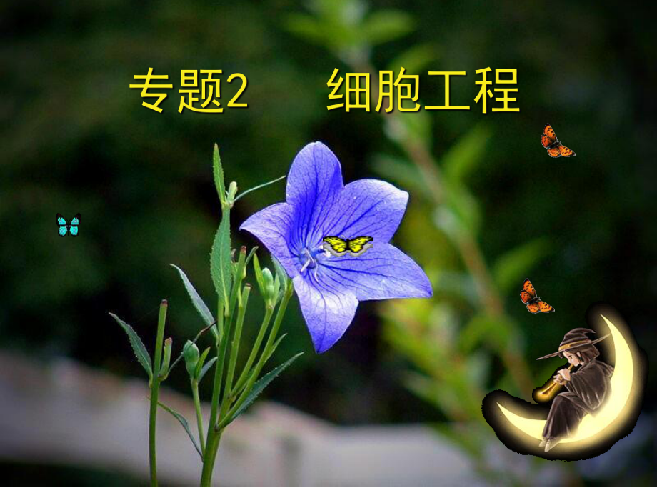 (完整版)植物细胞工程课件.ppt_第1页