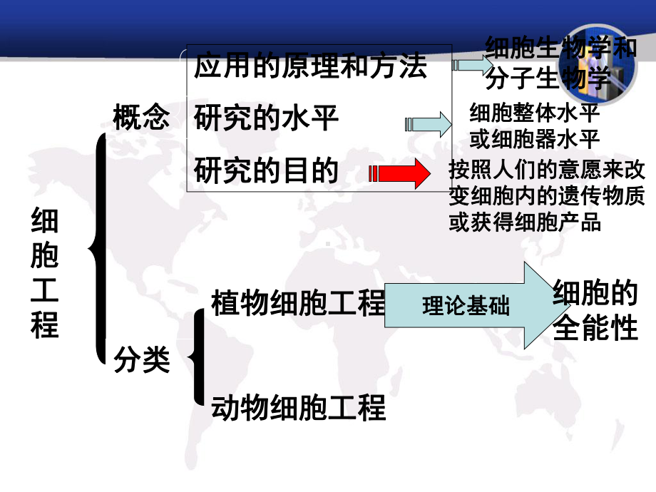 (完整版)植物细胞工程课件.ppt_第3页