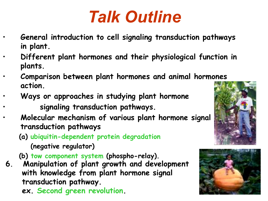 PlantHormoneSignaltransductionpathway植物激素信号转导通路课件.ppt_第2页