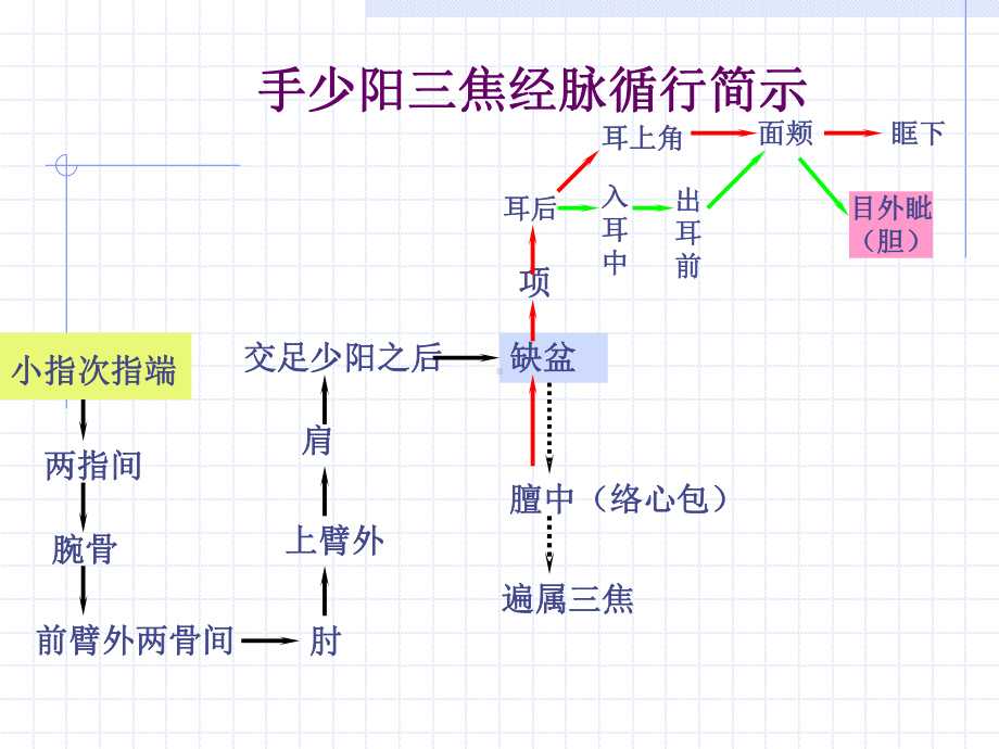 三焦经人体经络穴课件.ppt_第3页