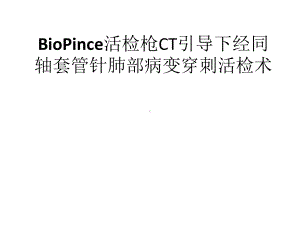 BioPince活检枪CT引导下经同轴套管针肺部病变穿刺活检术-PPT精选课件.ppt