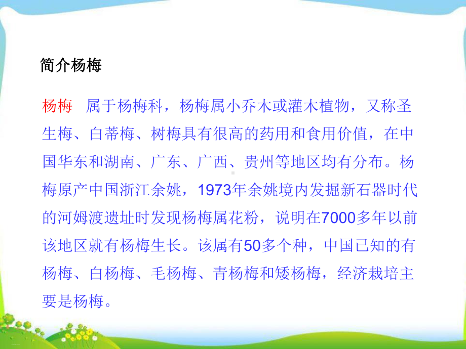 《我爱故乡的杨梅》PPT-完美版课件.pptx_第2页