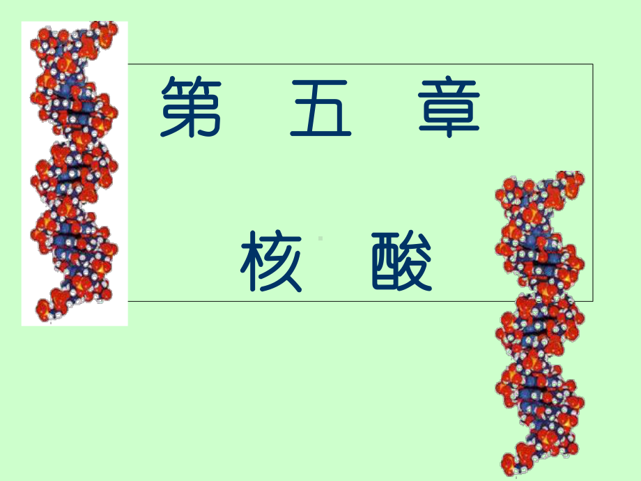 5第五章核酸化学课件.ppt_第1页