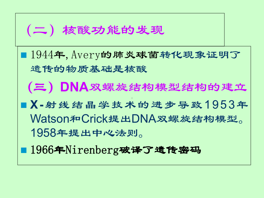 5第五章核酸化学课件.ppt_第3页