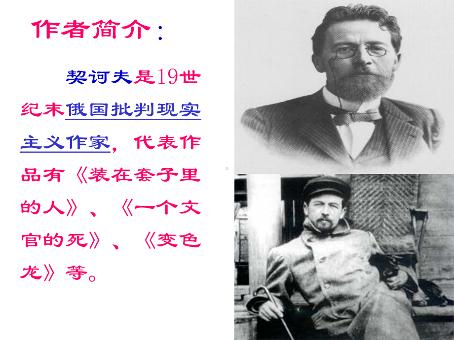 《一个文官的死》(广东)ppt全面版课件.ppt_第2页