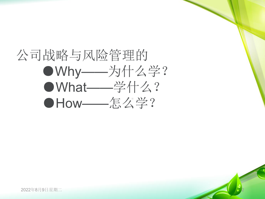 《公司战略与风险管理》课件-.ppt_第2页