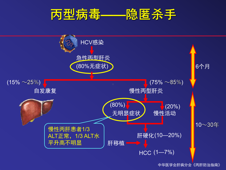 丙肝规范治疗课件.ppt_第2页