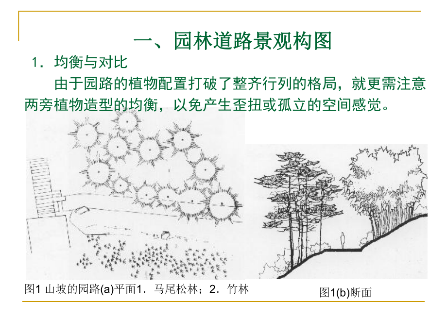 (完整版)6道路植物景观设计.ppt_第3页