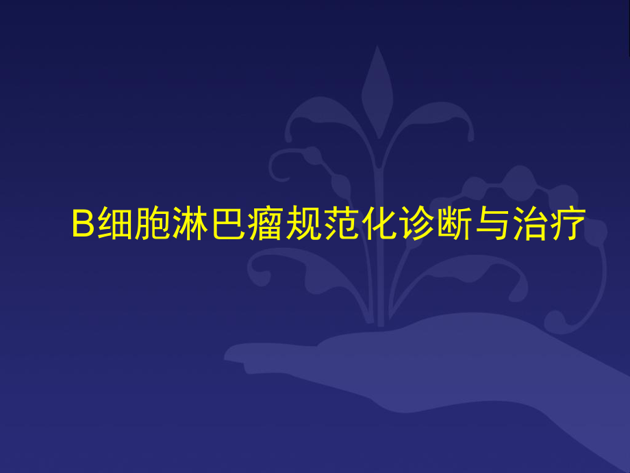 B细胞淋巴瘤诊疗规范课件.ppt_第1页