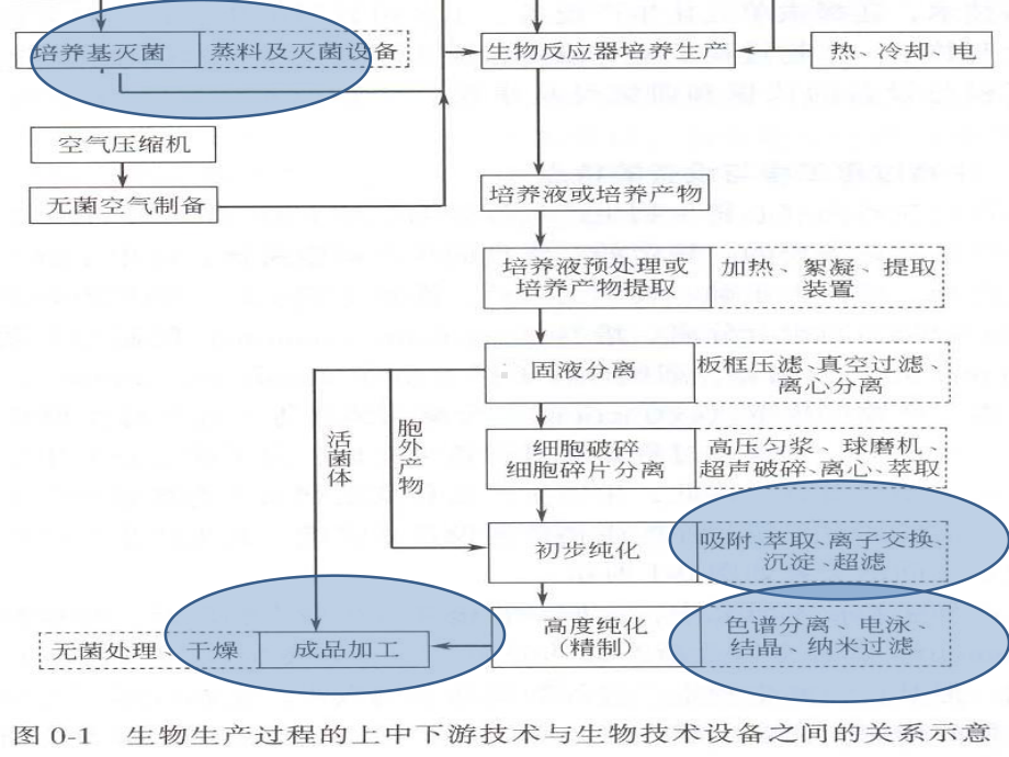 [工学]蒸发与结晶设备课件.ppt_第3页