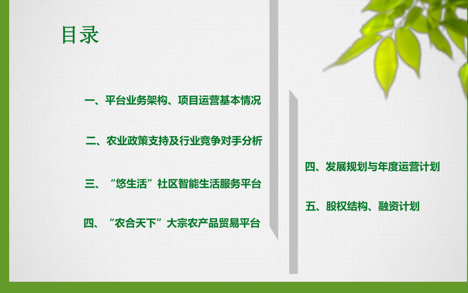 “农合天下”商业策划书课件.ppt_第2页