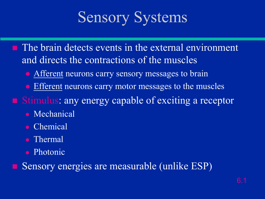 Vision--Florida-Atlantic-University视觉-PPT共39页课件.ppt_第1页