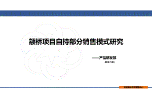 （商业）颛桥项目自持部分销售模式研究课件.pptx