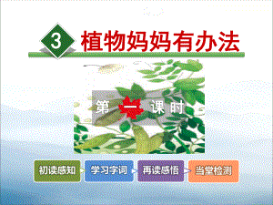 《植物妈妈有办法》PPT(同名104)课件.pptx