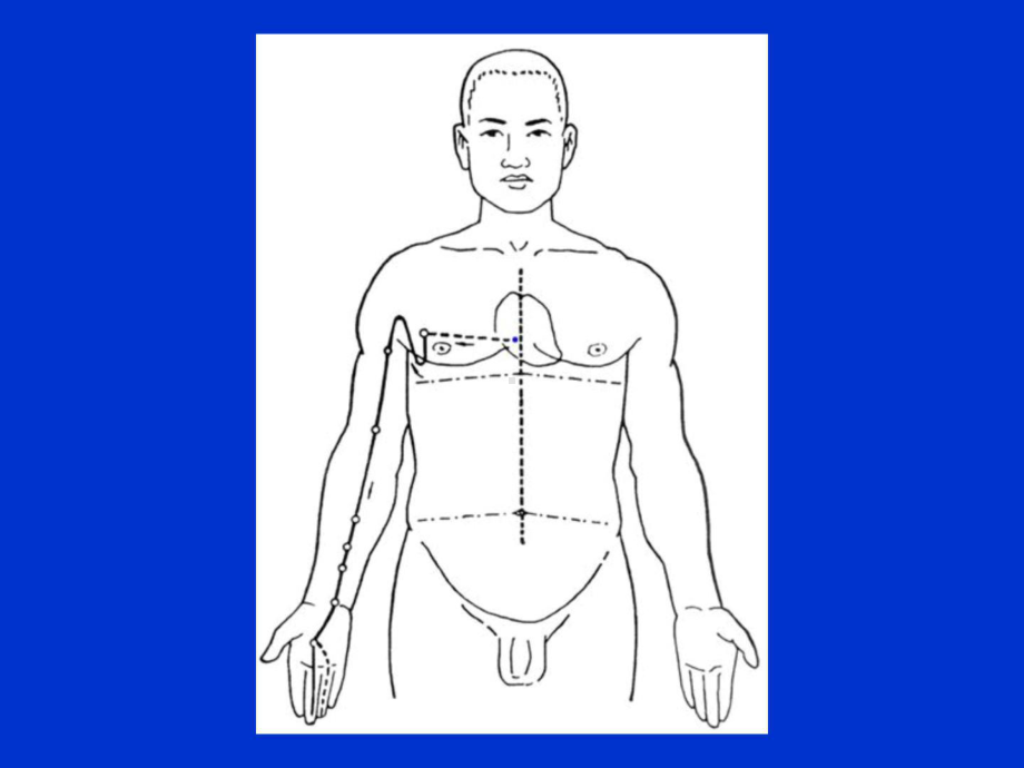 []针灸学课件手三阴经11.手厥阴心包经.ppt_第2页
