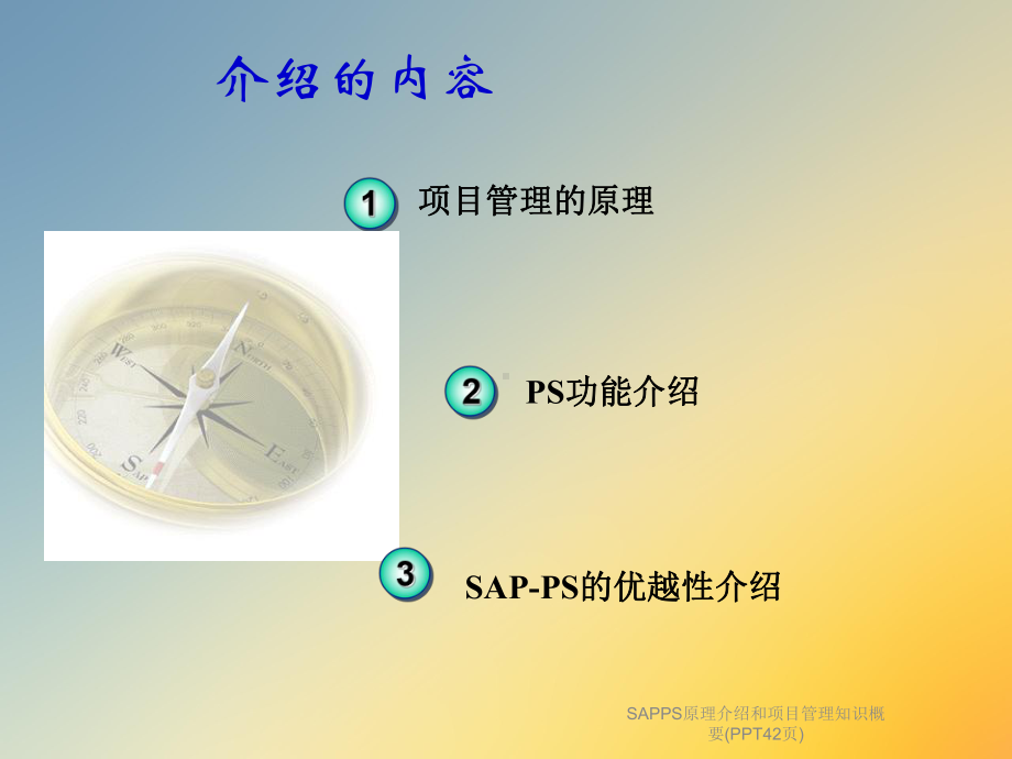 SAPPS原理介绍和项目管理知识概要(PPT42页)课件.ppt_第2页