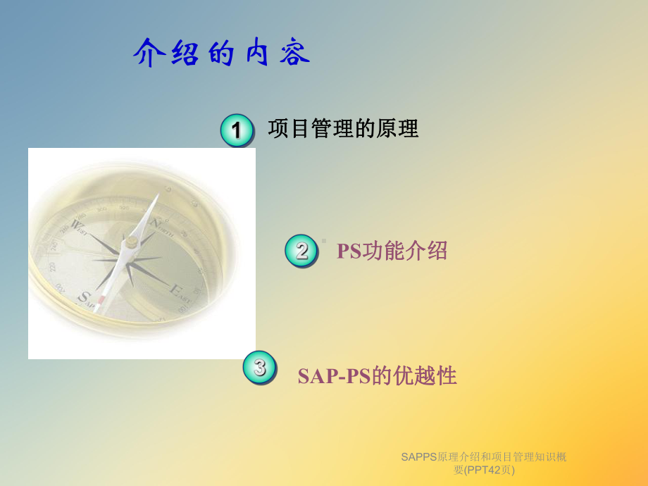 SAPPS原理介绍和项目管理知识概要(PPT42页)课件.ppt_第3页