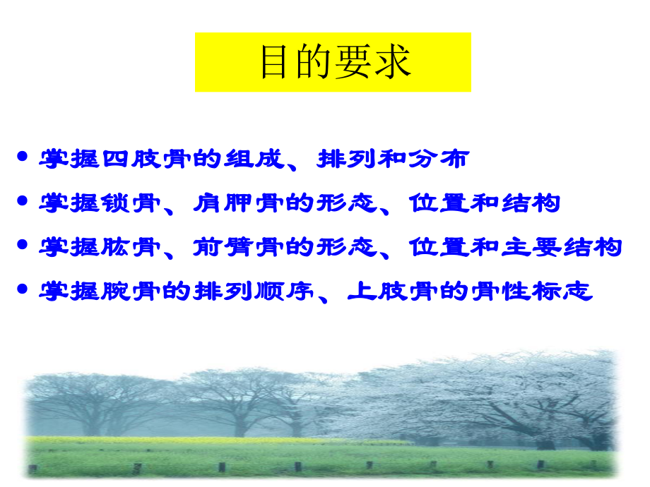 上肢骨-人体解剖学课件.ppt_第2页