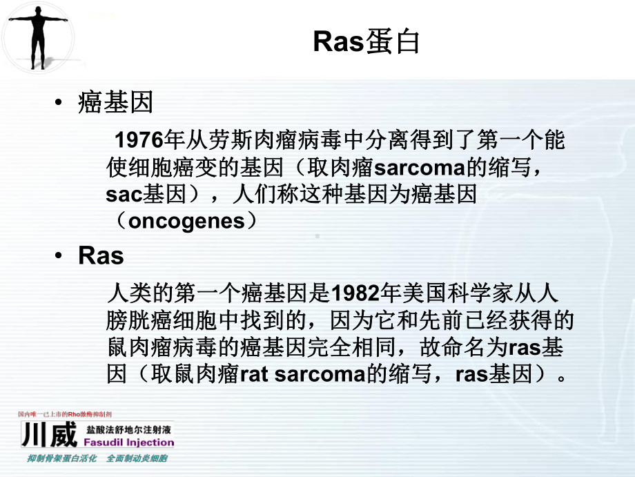 Rho激酶研究进展课件.ppt_第2页