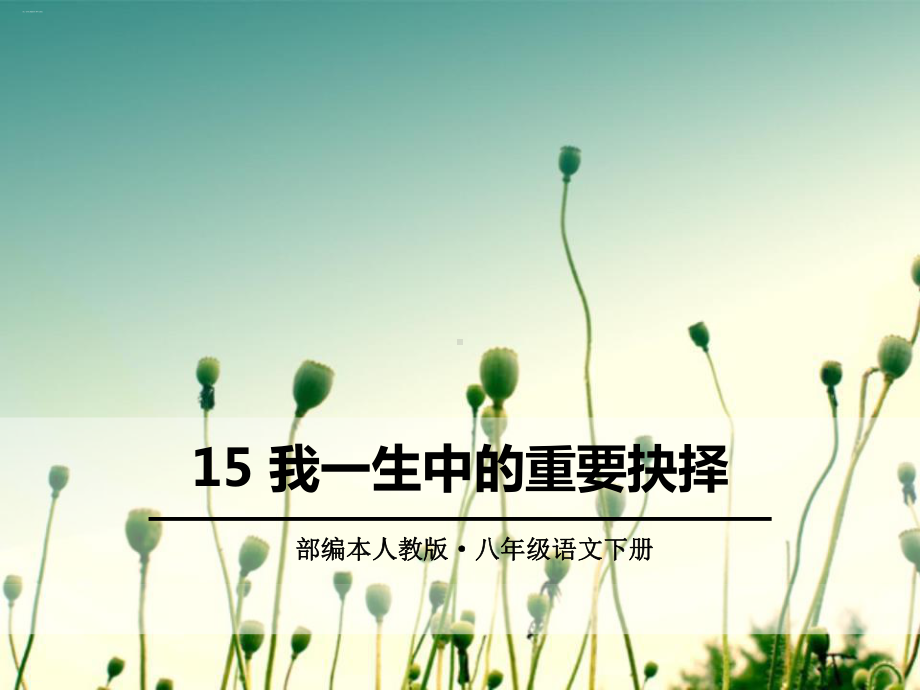 《我一生中的重要抉择》PPT-完美版课件.pptx_第1页