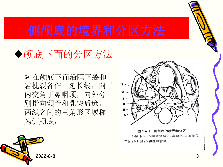 -侧颅底解剖课件.ppt_第3页