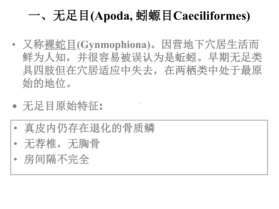 两栖纲的分类课件.ppt_第2页