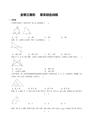 全等三角形 章末综合训练 2022-2023学年人教版数学八年级上册.docx