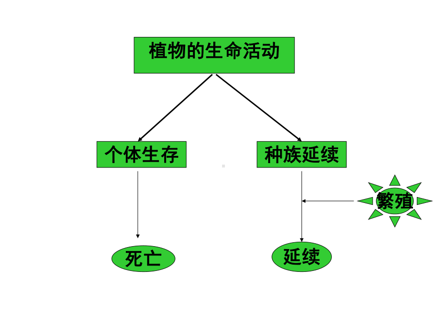 (完整版)被子植物生殖器官课件.ppt_第2页