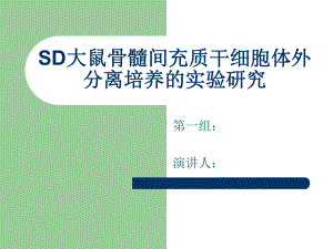 sd大鼠骨髓间充质干细胞体外分离课件.ppt