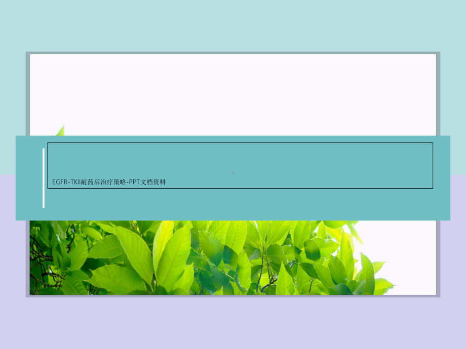 EGFR-TKII耐药后治疗策略-PPT课件.ppt_第1页