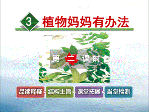 《植物妈妈有办法》PPT-课件.pptx