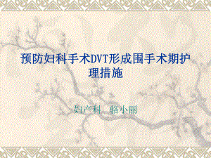 DVT在妇科围手术期的护理措施课件.ppt