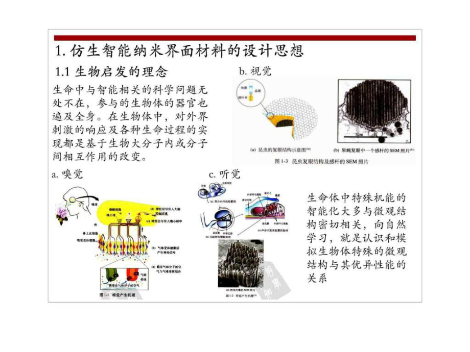 专题二-仿生智能纳米界面材料课件.ppt_第2页