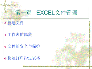 EXCEL财务会计与日常管理知识分析应用课件.ppt