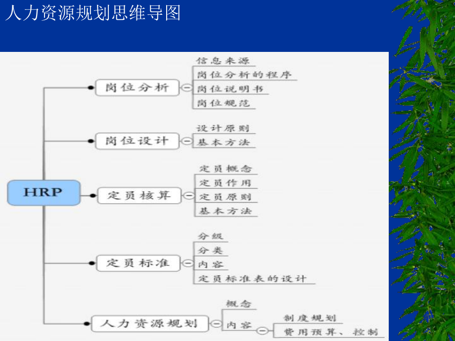 [管理学]1三级人力资源规划课件.ppt_第1页