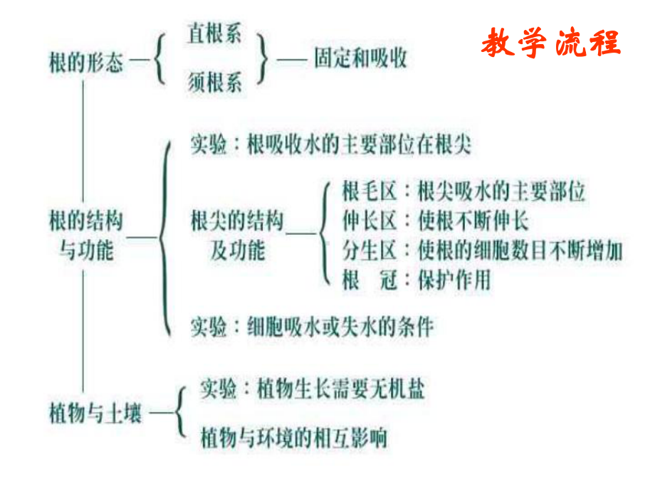 上学期第三章教学设计2-浙教版.ppt_第2页