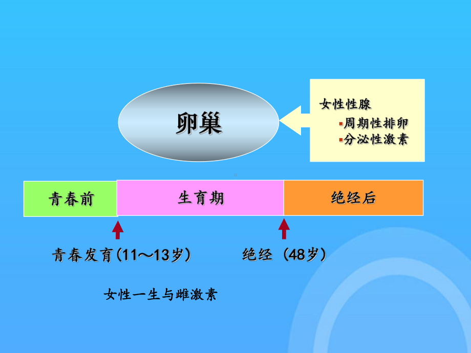 -功能失调性子宫出血PPT课件.ppt_第2页