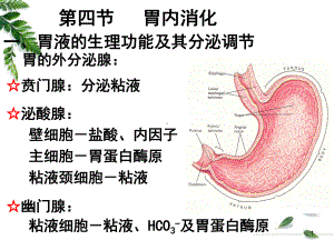 -12级药学本科-消化2课件.ppt