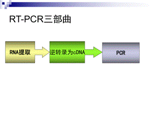 -RNA提取-第一步-PPT课件.ppt