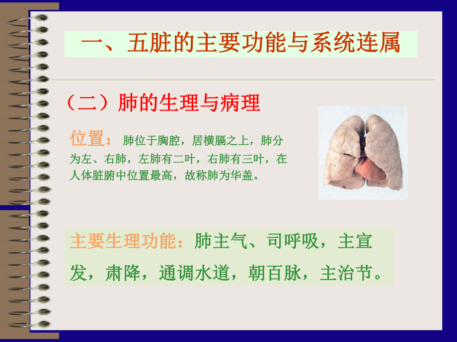 中医基础课程肺-25页PPT课件.ppt_第2页