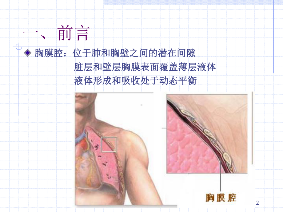 （内科学）胸膜疾病-课件.ppt_第2页