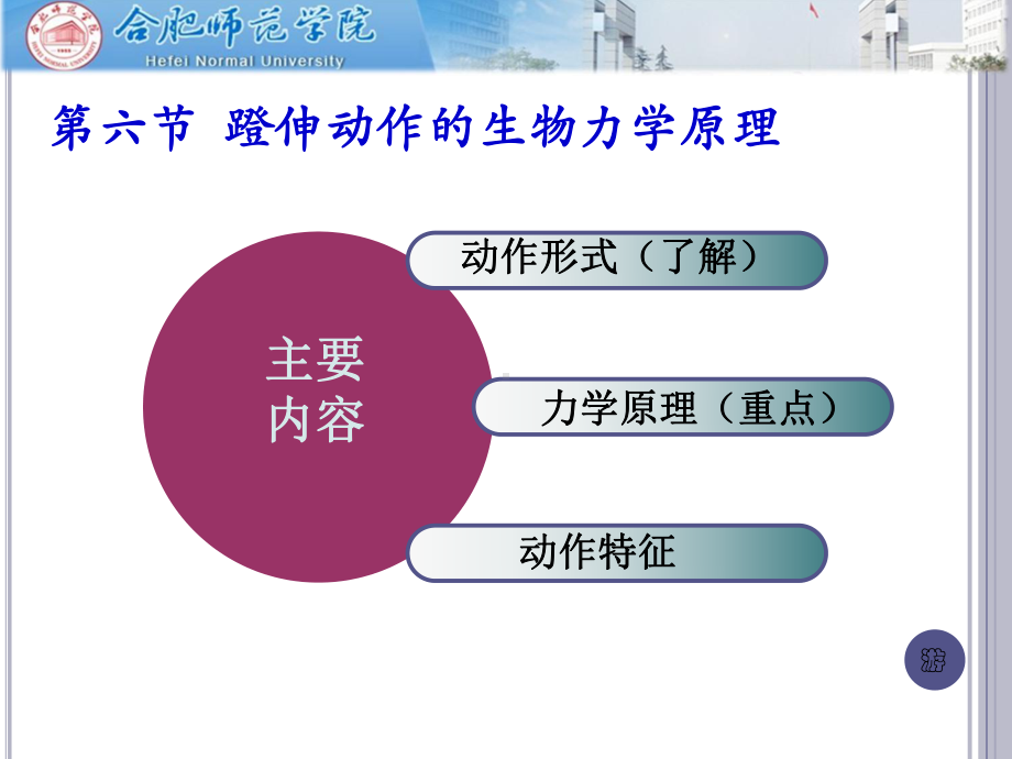 11、第四章-运动生物力学原理-蹬伸动作教学讲义PPT课件.ppt_第2页