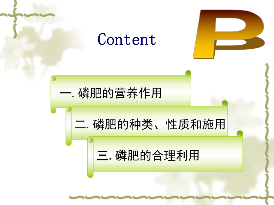 《土壤学》第9章磷肥课件.ppt_第2页