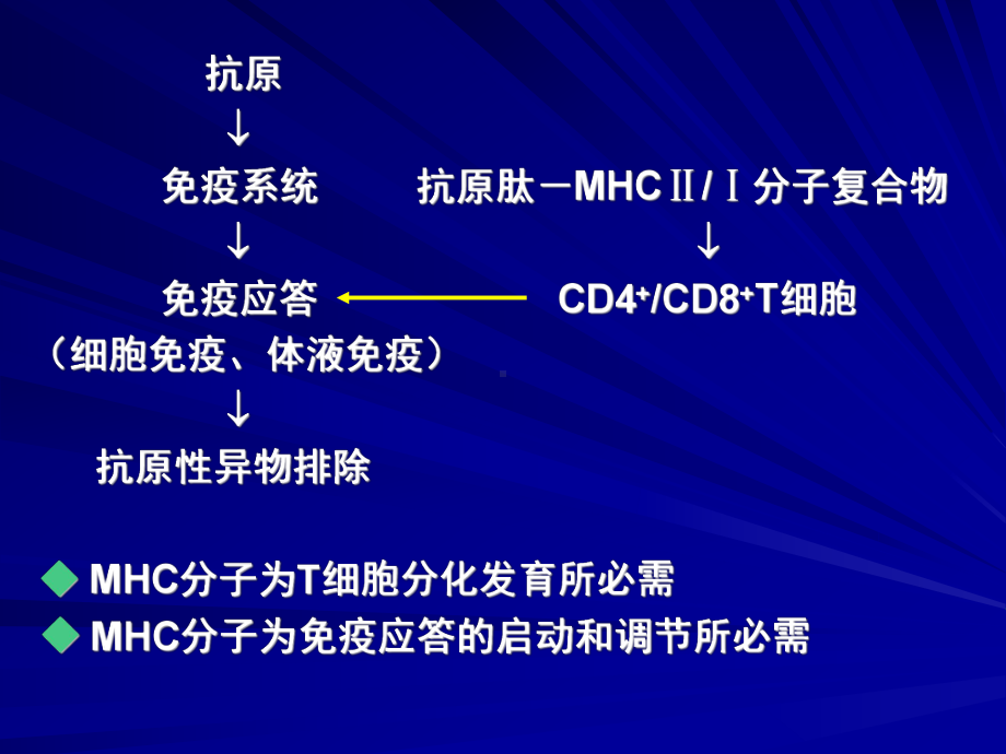 HLA与临床医学主要组织相容性复合体课件.pptx_第2页