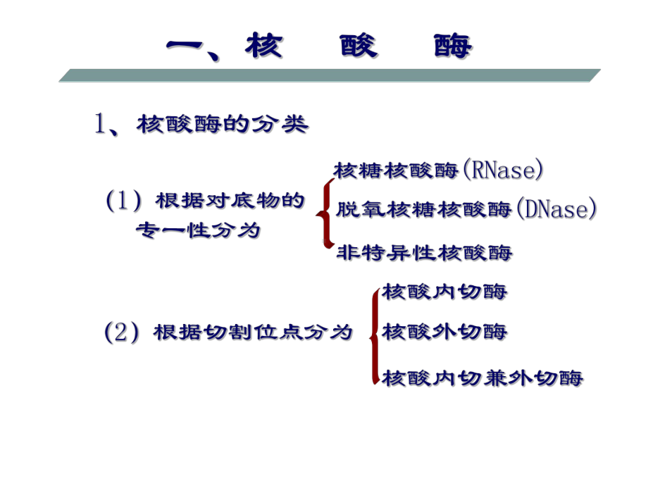 一节核酸酶促降解课件.ppt_第3页