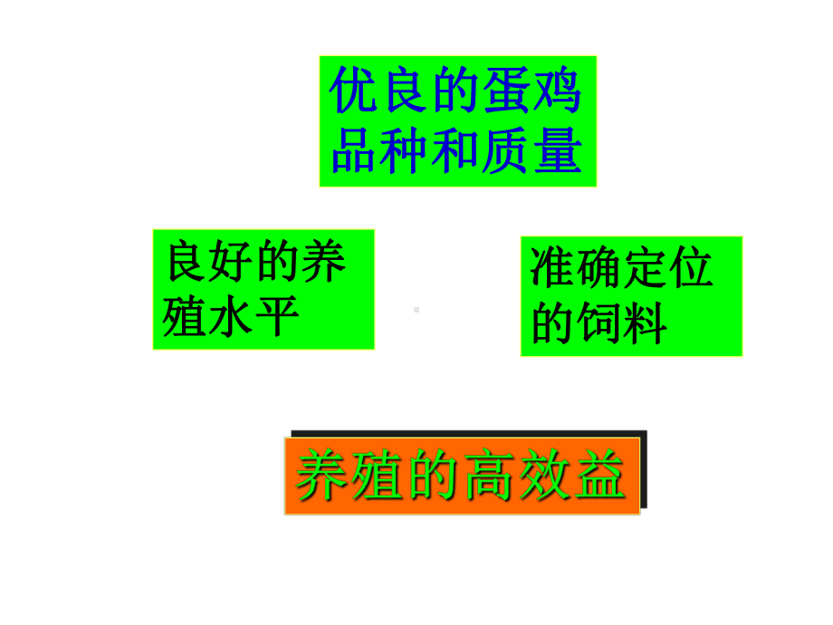 -蛋鸡饲料的数字营销-PPT课件.ppt_第3页