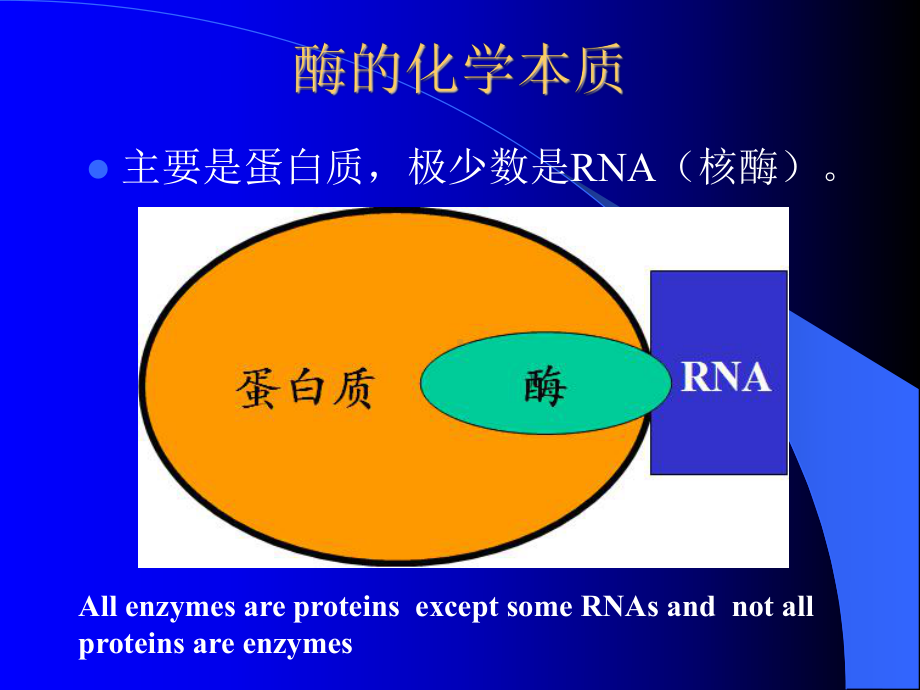 (完整版)生物化学-酶课件.ppt_第3页